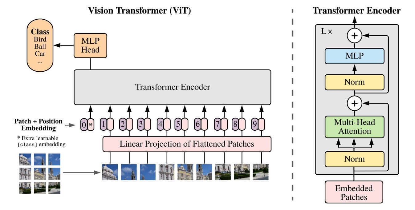 ViT architecture