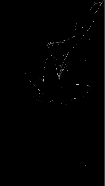 Canny Edge Detection Resulting Image