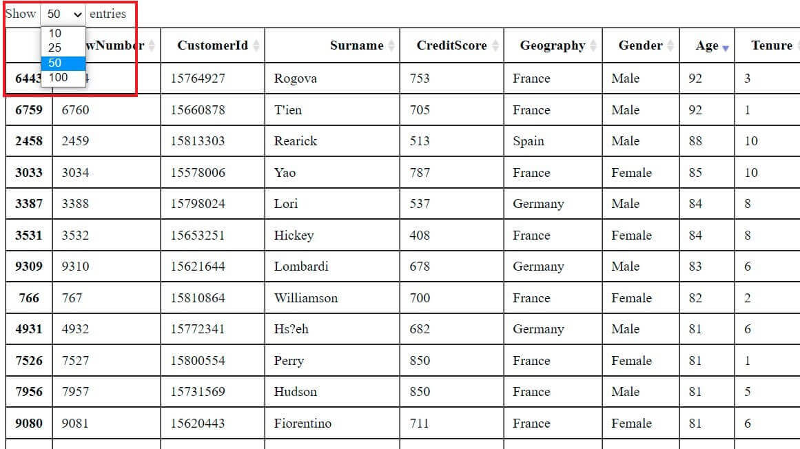 Editing Pagination settings on the resulting HTML table