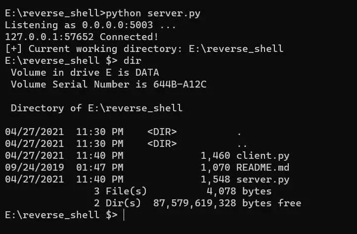 Running Reverse Shell in Python