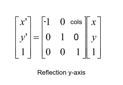 Reflection matrix y-axis