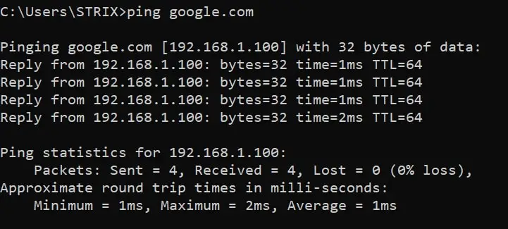 Pinging google.com when dns spoofed