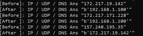 DNS Spoof Output