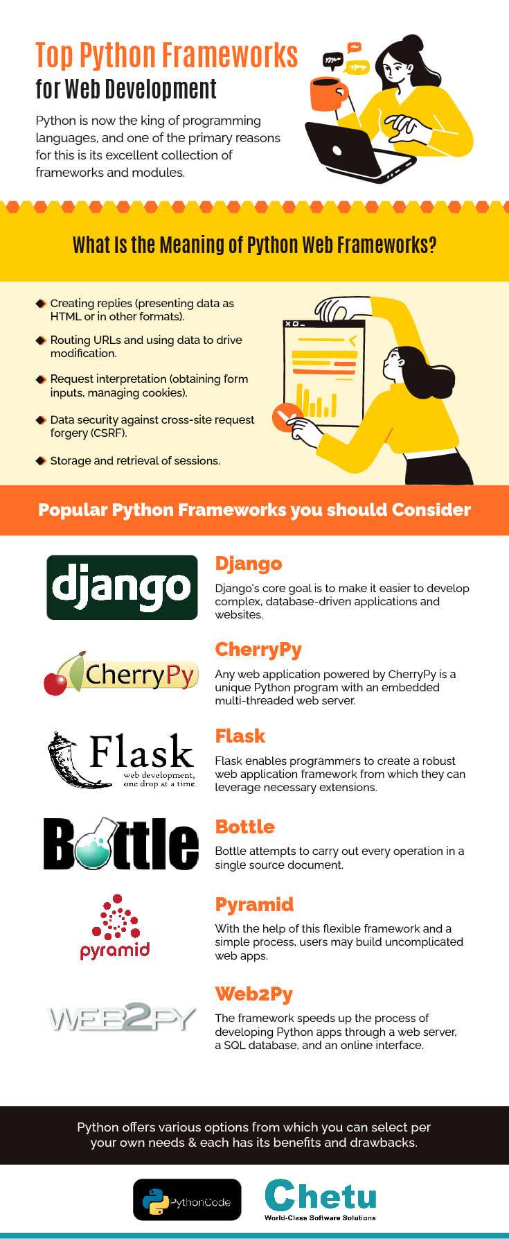 Infographic of Top Python frameworks