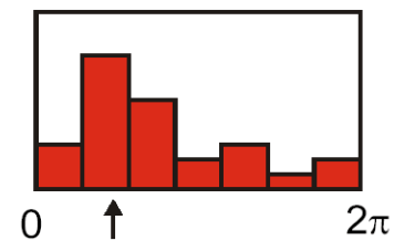 Histogram pixels of certain angle