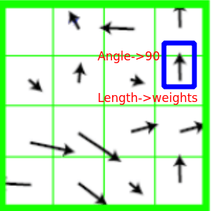 Orientation of each point