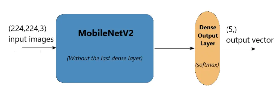 MobileNetV2 Model Architecture