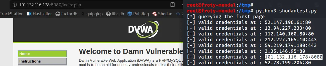 Python script result to search for vulnerable DVWA instances using Shodan API